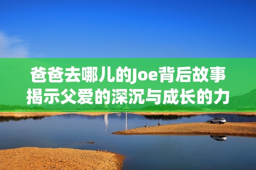 爸爸去哪儿的Joe背后故事揭示父爱的深沉与成长的力量