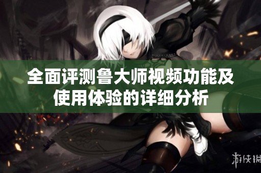 全面评测鲁大师视频功能及使用体验的详细分析