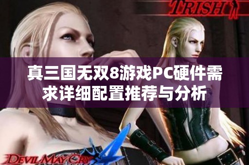 真三国无双8游戏PC硬件需求详细配置推荐与分析
