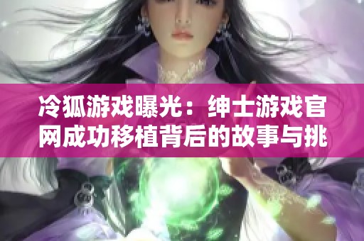 冷狐游戏曝光：绅士游戏官网成功移植背后的故事与挑战