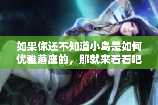 如果你还不知道小鸟是如何优雅落座的，那就来看看吧！