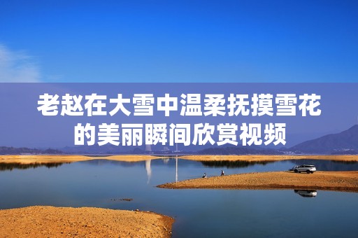 老赵在大雪中温柔抚摸雪花的美丽瞬间欣赏视频