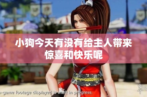 小狗今天有没有给主人带来惊喜和快乐呢