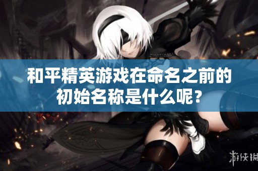 和平精英游戏在命名之前的初始名称是什么呢？
