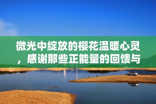微光中绽放的樱花温暖心灵，感谢那些正能量的回馈与希望