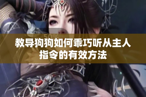 教导狗狗如何乖巧听从主人指令的有效方法