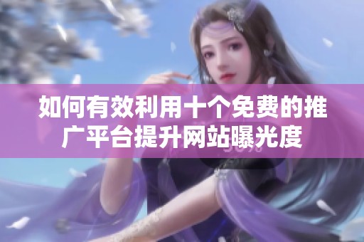如何有效利用十个免费的推广平台提升网站曝光度