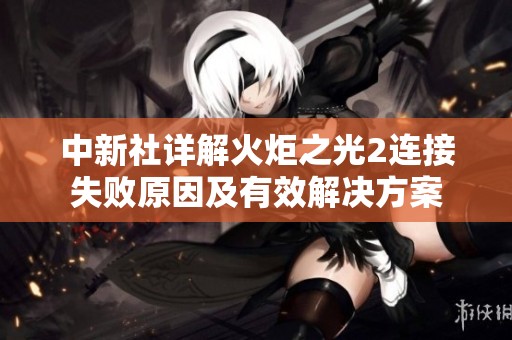 中新社详解火炬之光2连接失败原因及有效解决方案