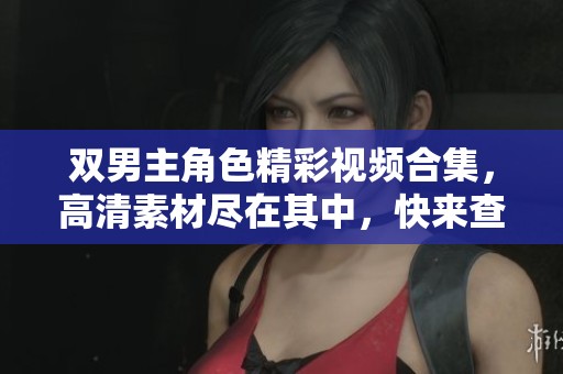 双男主角色精彩视频合集，高清素材尽在其中，快来查看吧