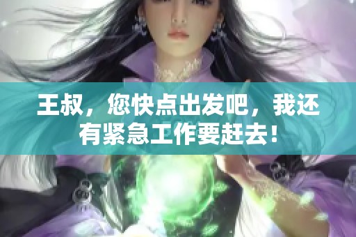 王叔，您快点出发吧，我还有紧急工作要赶去！