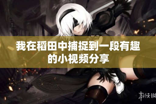 我在稻田中捕捉到一段有趣的小视频分享