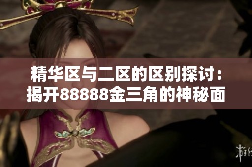 精华区与二区的区别探讨：揭开88888金三角的神秘面纱