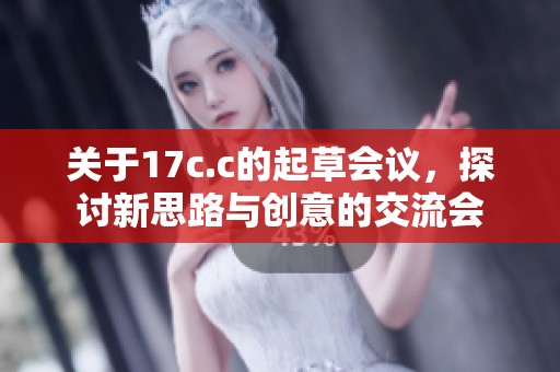 关于17c.c的起草会议，探讨新思路与创意的交流会