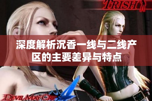 深度解析沉香一线与二线产区的主要差异与特点