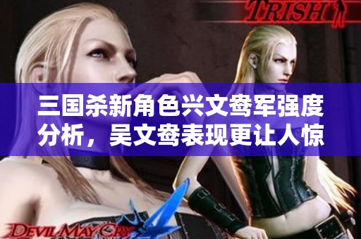 三国杀新角色兴文鸯军强度分析，吴文鸯表现更让人惊讶