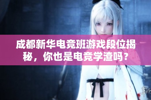 成都新华电竞班游戏段位揭秘，你也是电竞学渣吗？