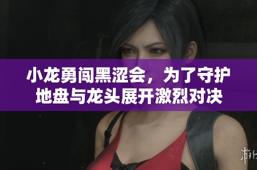 小龙勇闯黑涩会，为了守护地盘与龙头展开激烈对决