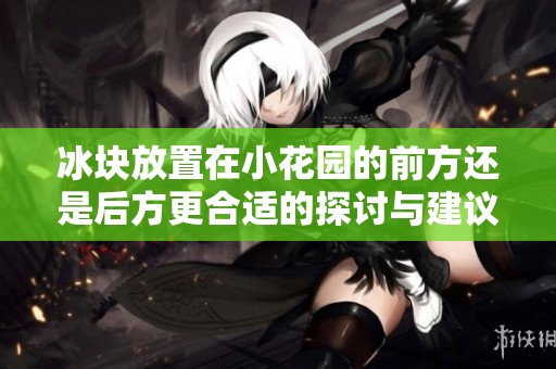 冰块放置在小花园的前方还是后方更合适的探讨与建议