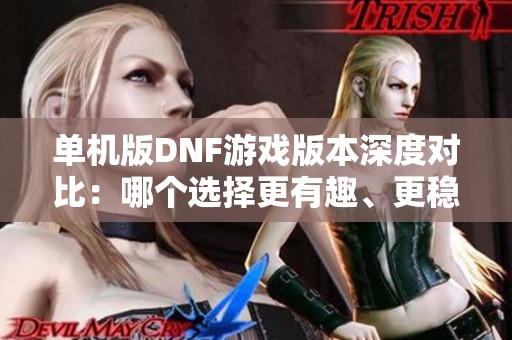 单机版DNF游戏版本深度对比：哪个选择更有趣、更稳定？