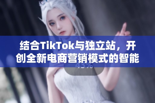结合TikTok与独立站，开创全新电商营销模式的智能化之路