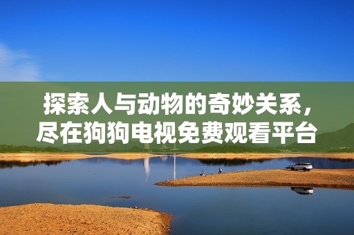 探索人与动物的奇妙关系，尽在狗狗电视免费观看平台