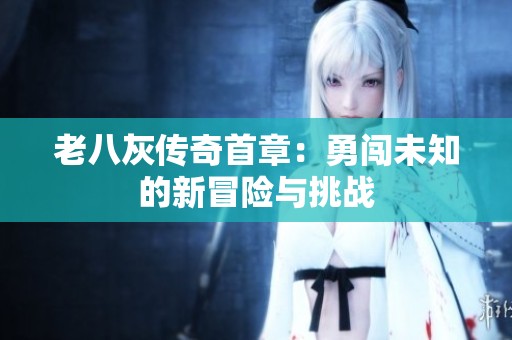 老八灰传奇首章：勇闯未知的新冒险与挑战