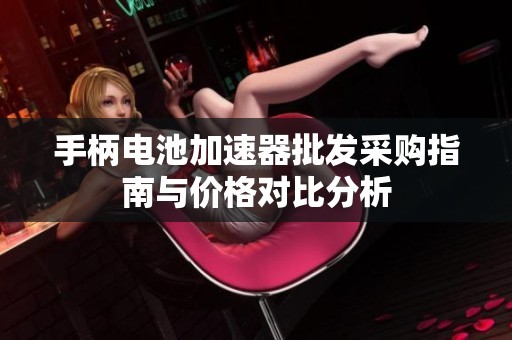 手柄电池加速器批发采购指南与价格对比分析