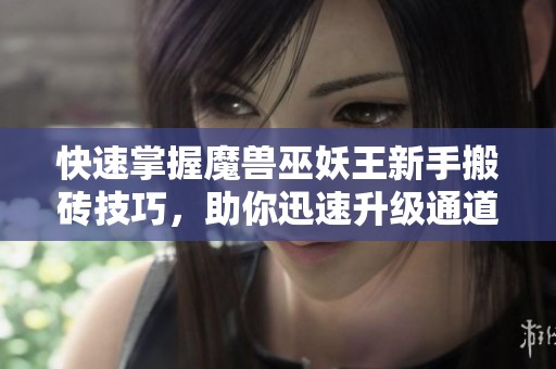 快速掌握魔兽巫妖王新手搬砖技巧，助你迅速升级通道探索!
