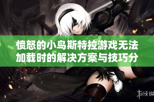 愤怒的小鸟斯特拉游戏无法加载时的解决方案与技巧分享