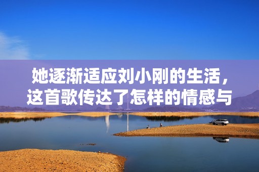 她逐渐适应刘小刚的生活，这首歌传达了怎样的情感与故事