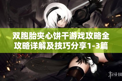 双胞胎夹心饼干游戏攻略全攻略详解及技巧分享1-3篇