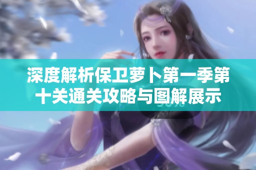 深度解析保卫萝卜第一季第十关通关攻略与图解展示