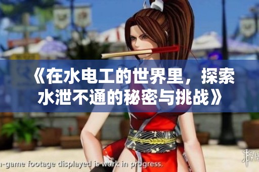 《在水电工的世界里，探索水泄不通的秘密与挑战》