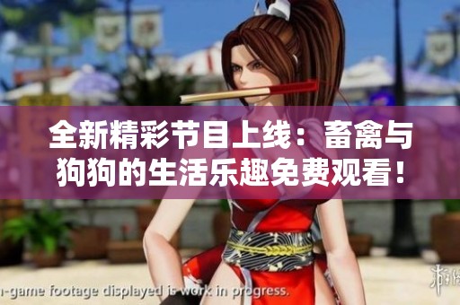 全新精彩节目上线：畜禽与狗狗的生活乐趣免费观看！