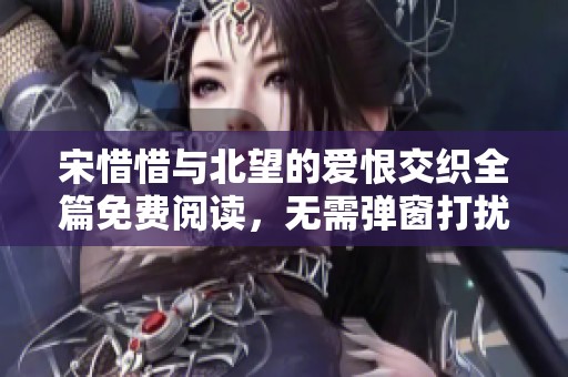 宋惜惜与北望的爱恨交织全篇免费阅读，无需弹窗打扰