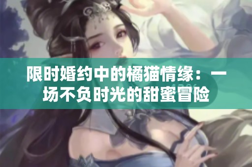 限时婚约中的橘猫情缘：一场不负时光的甜蜜冒险