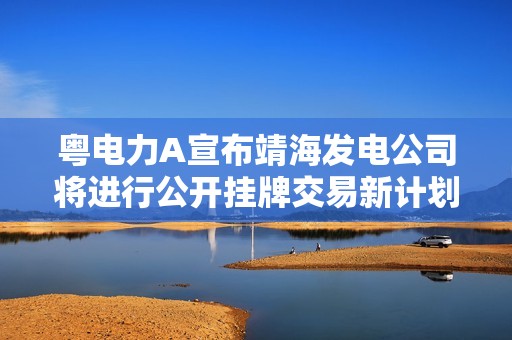 粤电力A宣布靖海发电公司将进行公开挂牌交易新计划