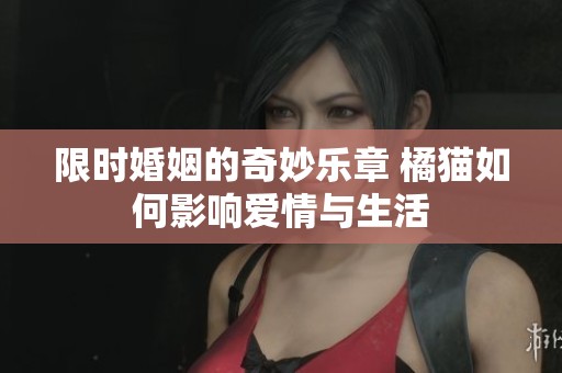 限时婚姻的奇妙乐章 橘猫如何影响爱情与生活