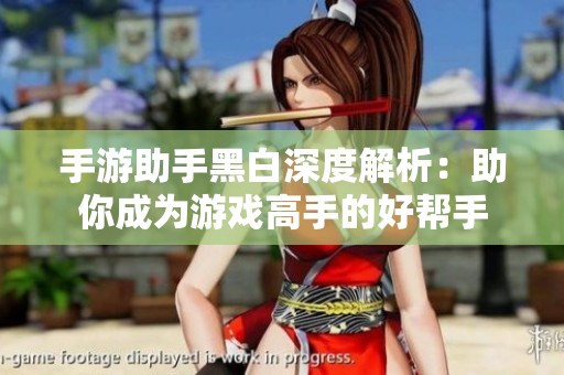 手游助手黑白深度解析：助你成为游戏高手的好帮手